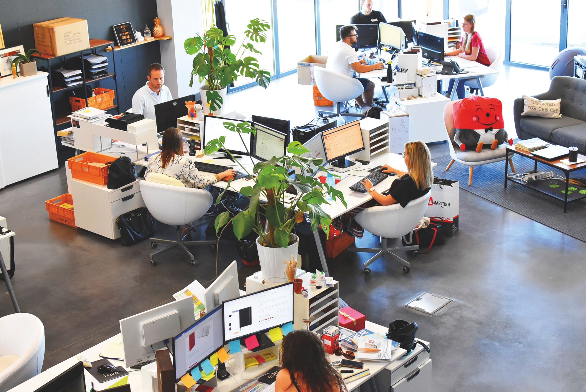 A vibrant modern office with employees collaborating at their desks. — The Benefits of Partnering with a Website Design and D